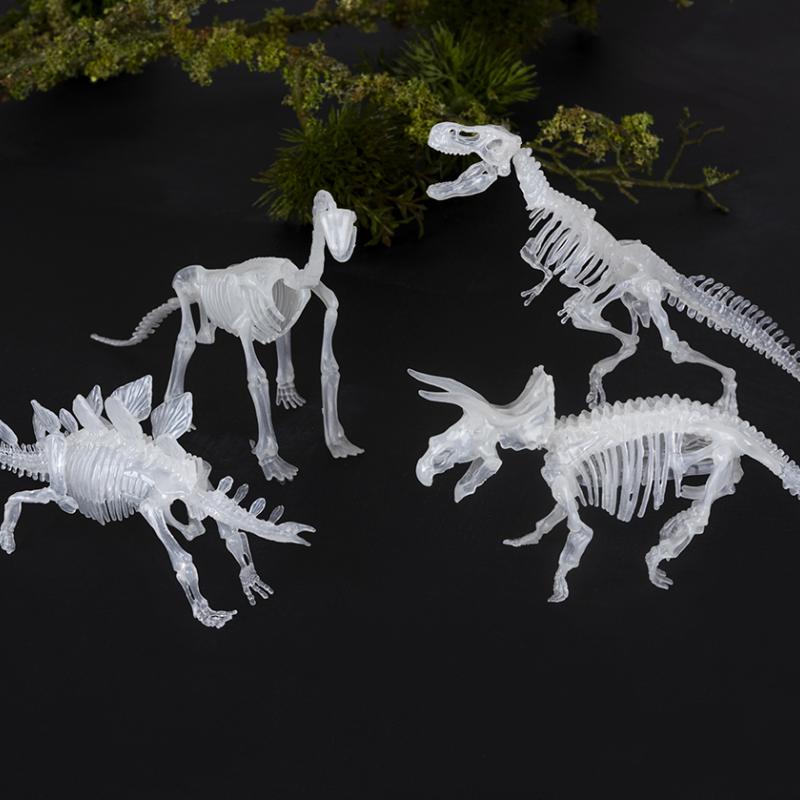 Glow-in-the-Dark Dinosaur Skeleton Kit