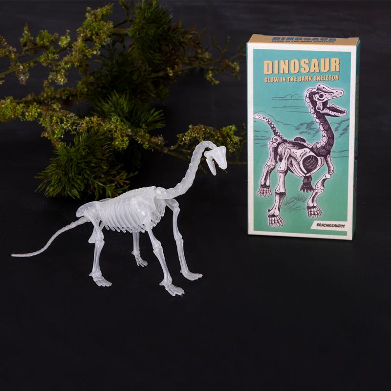 Glow-in-the-Dark Dinosaur Skeleton Kit