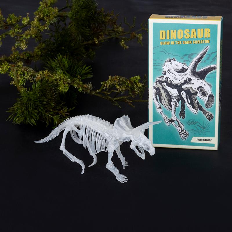 Glow-in-the-Dark Dinosaur Skeleton Kit