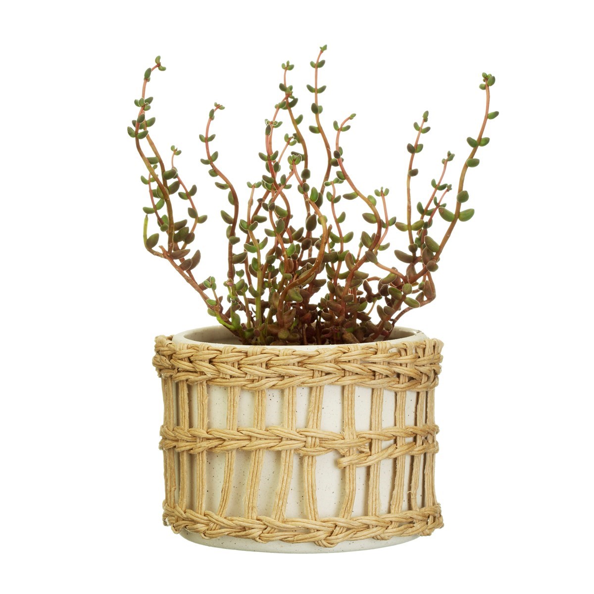 Sass & Belle Speckled White and Woven Planter